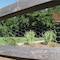 Garden Zone Garden Craft 24 in. H X 50 ft. L Galvanized Steel Poultry Netting 1 in. 162450 - alternate 4